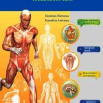 Anatomical Atlas - The Human Body