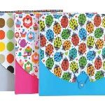 PVC folder with CD compartments