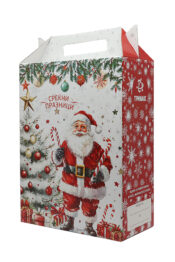 Едукативно новогодишно пакетче 2