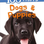 100 Facts Dogs and Puppies