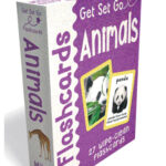 Animals Flashcards